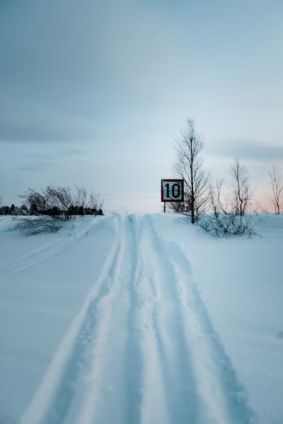 白天，在白色多云的天空下，白雪覆盖的地面上光秃秃的树